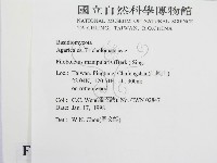 登錄號:F0010686藏品圖，第2張