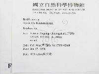 粉褶菌屬藏品圖，第2張