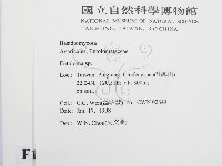 粉褶菌屬藏品圖，第2張