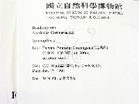 登錄號:F0010689藏品圖，第2張