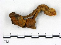 登錄號:F0010689藏品圖，第1張