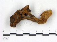 登錄號:F0010689藏品圖，第3張