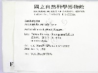 登錄號:F0010690藏品圖，第2張