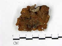 登錄號:F0010690藏品圖，第1張