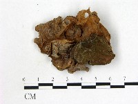 登錄號:F0010690藏品圖，第3張