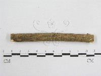 登錄號:F0010691藏品圖，第1張