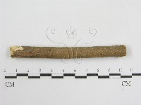 登錄號:F0010691藏品圖，第4張