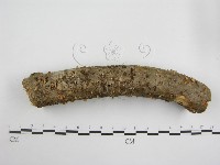 登錄號:F0010692藏品圖，第1張