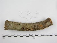 登錄號:F0010692藏品圖，第3張