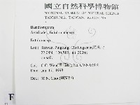 粉褶菌屬藏品圖，第2張