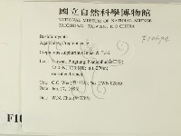 登錄號:F0010694藏品圖，第2張