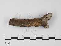 登錄號:F0010694藏品圖，第1張