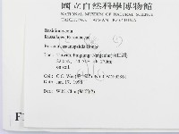 登錄號:F0010695藏品圖，第2張