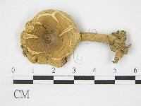 登錄號:F0010695藏品圖，第1張