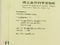 登錄號:F0010696藏品圖，第2張
