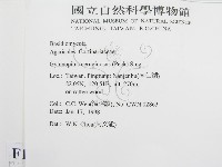 登錄號:F0010697藏品圖，第2張