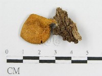 登錄號:F0010697藏品圖，第3張