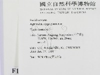 登錄號:F0010699藏品圖，第2張