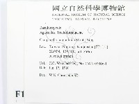 登錄號:F0010701藏品圖，第2張