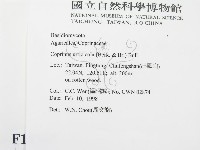 登錄號:F0010707藏品圖，第2張