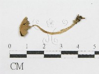 登錄號:F0010707藏品圖，第1張