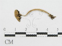 登錄號:F0010707藏品圖，第3張