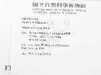 登錄號:F0010708藏品圖，第2張