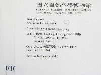 登錄號:F0010709藏品圖，第2張