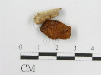 登錄號:F0010709藏品圖，第1張