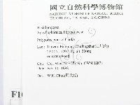 登錄號:F0010710藏品圖，第2張