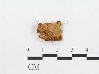 登錄號:F0010710藏品圖，第1張