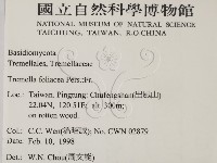 登錄號:F0010711藏品圖，第2張