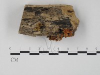 登錄號:F0010711藏品圖，第1張