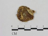 登錄號:F0010712藏品圖，第1張