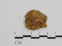 登錄號:F0010712藏品圖，第3張