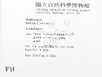 登錄號:F0010713藏品圖，第2張