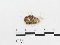 登錄號:F0010713藏品圖，第3張