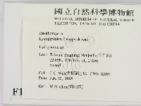 登錄號:F0010714藏品圖，第2張