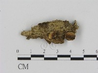 登錄號:F0010714藏品圖，第1張