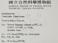 登錄號:F0010715藏品圖，第2張