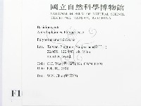 登錄號:F0010716藏品圖，第2張