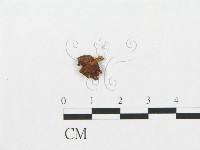 登錄號:F0010716藏品圖，第3張