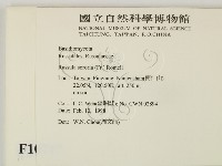 登錄號:F0010717藏品圖，第2張