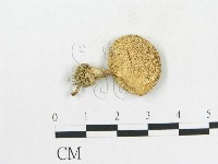 登錄號:F0010718藏品圖，第1張