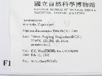 登錄號:F0010719藏品圖，第2張