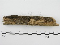 登錄號:F0010719藏品圖，第1張