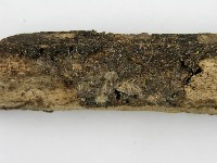 登錄號:F0010719藏品圖，第4張