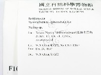 木層孔菌屬藏品圖，第2張