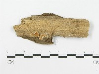 登錄號:F0010722藏品圖，第1張