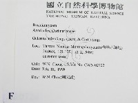 登錄號:F0010724藏品圖，第2張